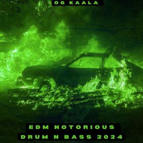 OG KAALA - Edm Notorious (Drum n Bass 2024) - 2024 - WEB mp3 320kbps-EICHBAUM