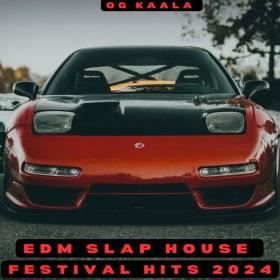 OG KAALA - Edm Slap House Festival Hits 2024 - 2024 - WEB mp3 320kbps-EICHBAUM