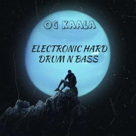 OG KAALA - Electronic Hard Drum n Bass - 2024 - WEB mp3 320kbps-EICHBAUM