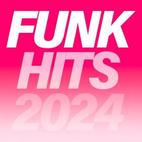 VA - Funk Hits 2024 - 2024 - WEB mp3 320kbps-EICHBAUM