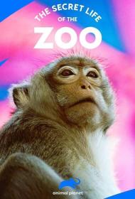 【高清剧集网发布 】动物园的秘密生活 第三季[全7集][中文字幕] The Secret Life of the Zoo S03 2017 1080p WEB-DL H264 AAC-ZeroTV