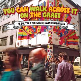 Various Artists - You Can Walk Across it on The Grass (3CD Box) (2024)⭐WAV