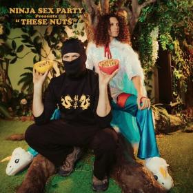 Ninja Sex Party - These Nuts (2024) Mp3 320kbps [PMEDIA] ⭐️