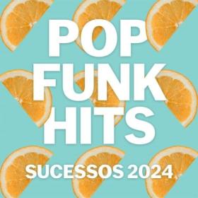 Various Artists - Pop Funk Hits – Sucessos 2024 (2024) Mp3 320kbps [PMEDIA] ⭐️