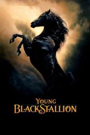 The Young Black Stallion (2003) [1080p] [WEBRip] [5.1] [YTS]