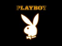 Plus.playboy - Vol.2