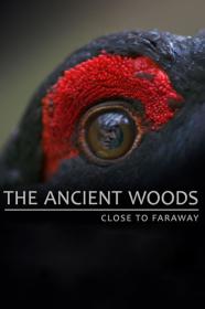 The Ancient Woods (2017) [720p] [WEBRip] [YTS]