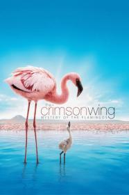 The Crimson Wing Mystery Of The Flamingos (2008) [720p] [BluRay] [YTS]