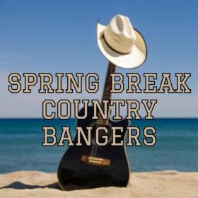 Various Artists - Spring Break Country Bangers (2024) Mp3 320kbps [PMEDIA] ⭐️