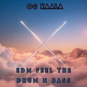 OG KAALA - Edm Feel the Drum n Bass - 2024 - WEB mp3 320kbps-EICHBAUM