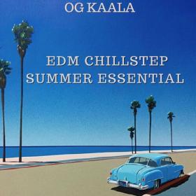 OG KAALA - Edm Chillstep Summer Essential - 2024 - WEB mp3 320kbps-EICHBAUM