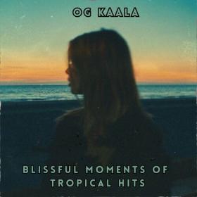 OG KAALA - Blissful Moments of Tropical Hits - 2024 - WEB mp3 320kbps-EICHBAUM