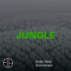 The Blaze - JUNGLE (Sleep Soundscape) (2024) [24Bit-48kHz] FLAC [PMEDIA] ⭐️