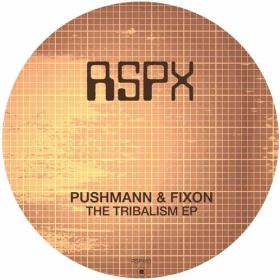 PUSHMANN - The Tribalism EP (2024) Mp3 320kbps [PMEDIA] ⭐️