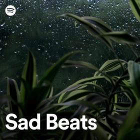 Various Artists - Sad Beats (2024) Mp3 320kbps [PMEDIA] ⭐️