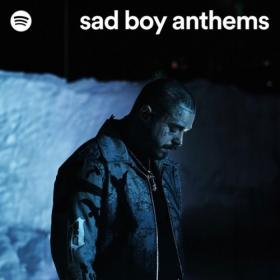 Various Artists - sad boy anthems (2024) Mp3 320kbps [PMEDIA] ⭐️