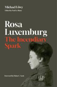 [ CourseWikia com ] Rosa Luxemburg - The Incendiary Spark - Essays
