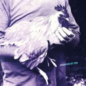Nourished by Time - Catching Chickens EP (2024) Mp3 320kbps [PMEDIA] ⭐️