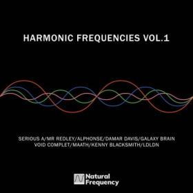 Various Artists - Harmonic Frequencies Vol  1 (2024) [24Bit-48kHz] FLAC [PMEDIA] ⭐️