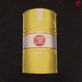 Bacao Rhythm & Steel Band - BRSB (2024) [24Bit-44.1kHz] FLAC [PMEDIA] ⭐️
