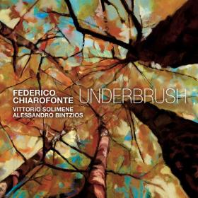 Federico Chiarofonte, Vittorio Solimene & Alessandro Bintzios - Underbrush (2024 Jazz contemporaneo) [Flac 24-48]
