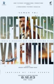 【高清影视之家发布 】情人节行动[无字片源] Operation Valentine 2024 2160p AMZN WEB-DL DDP 5.1 H 265-DreamHD