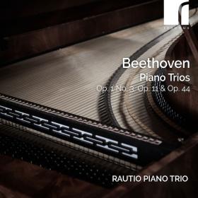 Beethoven - Piano Trios Op  1 No  3, Op  11 & Op  44 - Rautio Piano Trio (2024) [24-96]