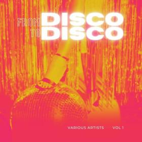 VA - From Disco To Disco Vol 1 (2024) Mp3 320kbps [PMEDIA] ⭐️