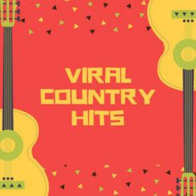 Various Artists - Viral Country Hits (2024) Mp3 320kbps [PMEDIA] ⭐️