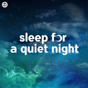 Various Artists - sleep for a quiet night (2024) Mp3 320kbps [PMEDIA] ⭐️