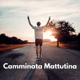 V A  - Camminata Mattutina (2024 Pop) [Flac 16-44]