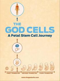 【高清影视之家发布 】生死之争：胎儿干细胞[中文字幕] The God Cells 2017 1080p WEB-DL H264 AAC-SONYHD