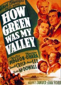 【高清影视之家发布 】青山翠谷[简繁英双语字幕] How Green Was My Valley 1941 BluRay 1080p DTS-HD MA 5.1 x265 10bit-ALT
