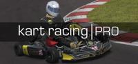 Kart.Racing.Pro.v02.04.2024