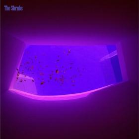 The Shrubs - Echoes of a Dream (2024) [24Bit-44.1kHz] FLAC [PMEDIA] ⭐️