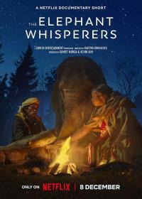 【高清影视之家发布 】小象守护者[无字片源] The Elephant Whisperers 2022 2160p NF WEB-DL DDP5.1 Atmos H 265-BATWEB