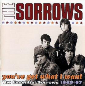 The Sorrows - You’ve Got What I Want  The Essential Sorrows 1965-67 (2010)