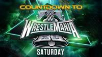 WWE Countdown to WrestleMania 40 Saturday WEB h264-HEEL