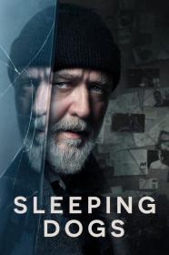 Sleeping Dogs (2024) [1080p] [WEBRip] [x265] [10bit] [5.1] [YTS]