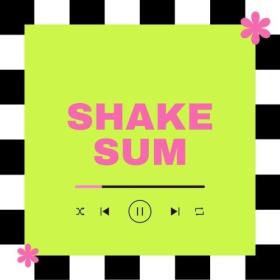 Various Artists - Shake Sum (2024) Mp3 320kbps [PMEDIA] ⭐️
