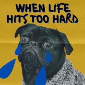 Various Artists - When Life Hits Too Hard (2024) Mp3 320kbps [PMEDIA] ⭐️