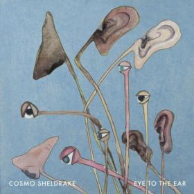 Cosmo Sheldrake - Eye To The Ear (2024) [24Bit-96kHz] FLAC [PMEDIA] ⭐️