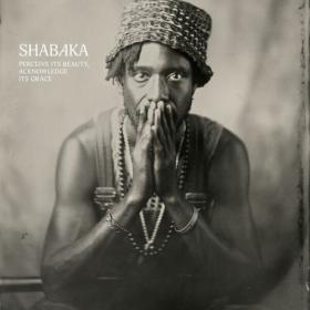 Shabaka - Perceive Its Beauty Acknowledge Its Grace (2024) [24Bit-96kHz] FLAC [PMEDIA] ⭐️