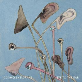 Cosmo Sheldrake - Eye To The Ear (2024) Mp3 320kbps [PMEDIA] ⭐️