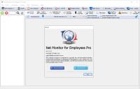 Net Monitor For Employees Pro v6.2.4 Portable