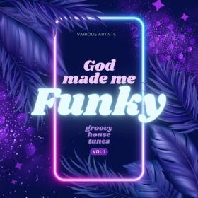 Various Artists - God Made Me Funky (Groovy House Tunes) Vol  1 (2024) Mp3 320kbps [PMEDIA] ⭐️
