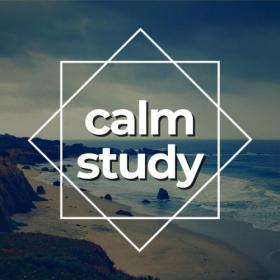 Various Artists - Calm Study (2024) Mp3 320kbps [PMEDIA] ⭐️