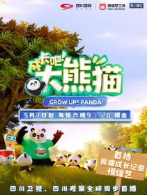 【高清剧集网发布 】成长吧！大熊猫[全13集][国语配音+中文字幕] Grow up!Panda S01 2022 1080p WEB-DL H264 AAC-LelveTV