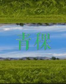 【高清剧集网发布 】青稞[全3集][国语配音+中文字幕] Qing Ke S01 2021 2160p WEB-DL H265 AAC-LelveTV