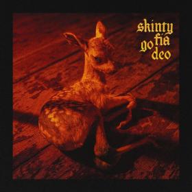 Fontaines D C  - Skinty Fia go deo [2CD] (2023 Rock) [Flac 24-48]